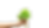 FARMSAY PLANT.png
