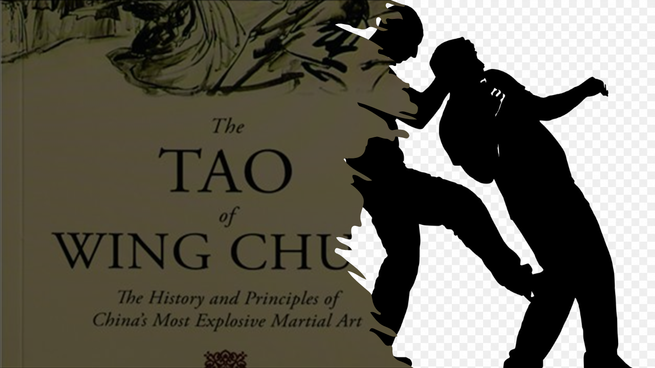 Tao Of Wing Chun2.png