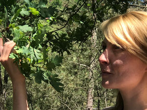 Do You Tend to Cultivate or Sabotage Your Joy?