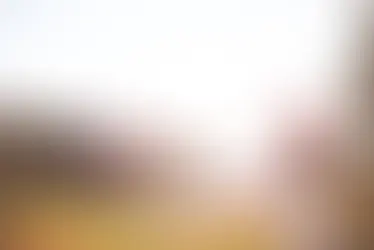 The Light That Shines From Within