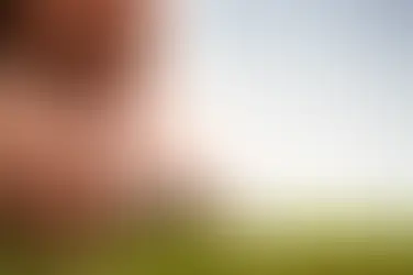 A focused person trims grass with scissors on a lawn under a clear sky, showing precision and concentration.