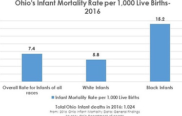 mortality rate.jpg