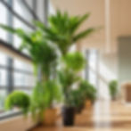 pescora interior design office interiors