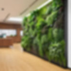 pescora interior design office interiors