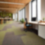 pescora interior design office interiors