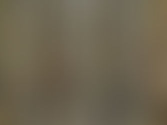 Oostvaardersplassen in de winter