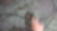 2402216_m.jpg