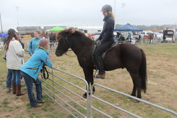 Rural Lifestyle Expo Ballarat 2016, with Marlanoc and Litli Stadur