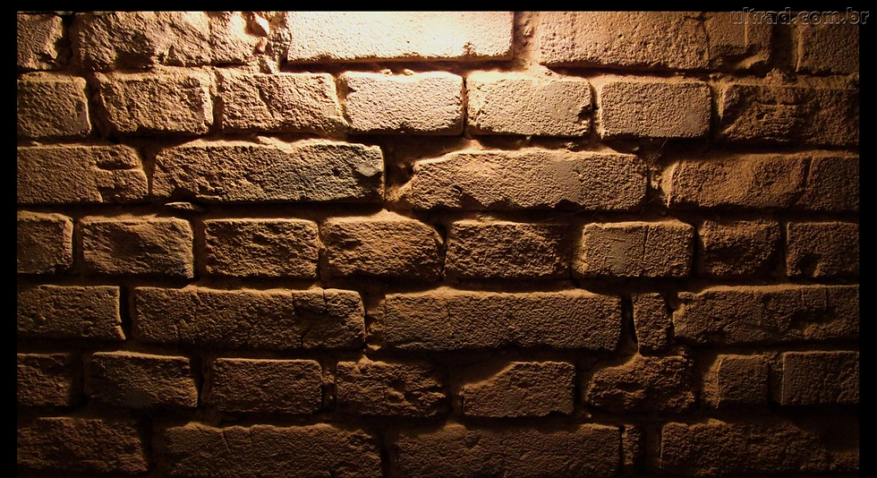 127709_Papel-de-Parede-Muro--127709_1440x900_edited.jpg
