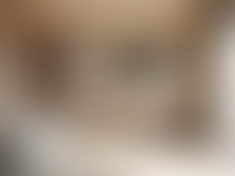 Transforming Spaces: Unveiling the Secrets of a Successful Bathroom Renovation