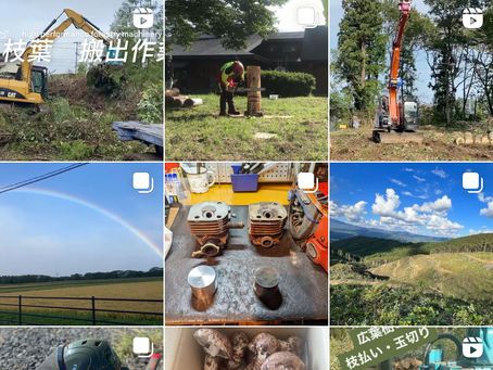 Instagram毎日投稿中〜