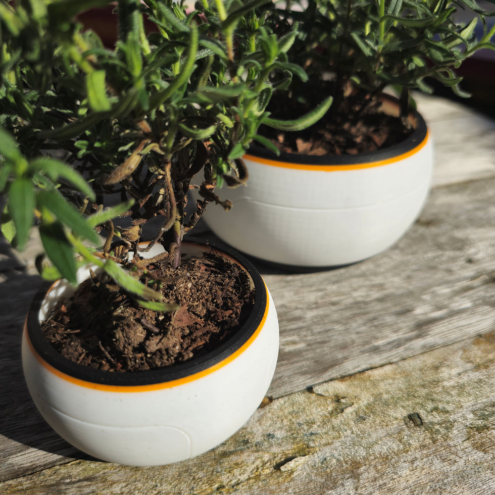 Thumbnail: Subnautica Articulating Plant Pot