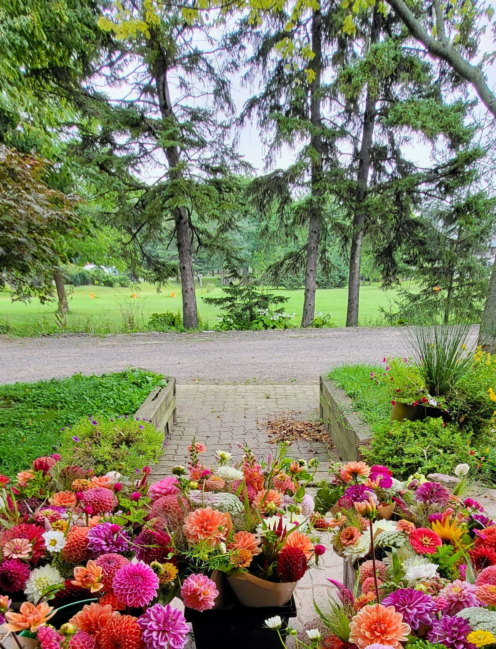 Florelle Gift Certificate