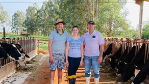 Caso de Sucesso - Qualidade do Leite