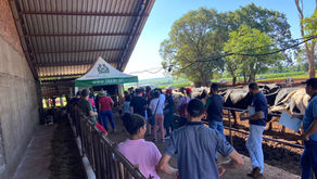 4º Tarde de Campo no Oeste Paranaense 