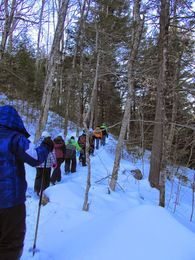 Cardigan Project 1 111.JPG