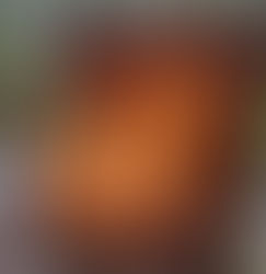 FROM CARL WALKER AND EN GEDI RETREAT:  PASTORAL STRAIGHT TALK