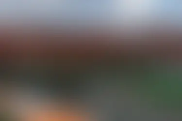 Onde assistir e os horários da etapa de Zandvoort da Fórmula 1