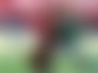 Veja onde assistir jogos do Brasileirão (08 a 12/11)