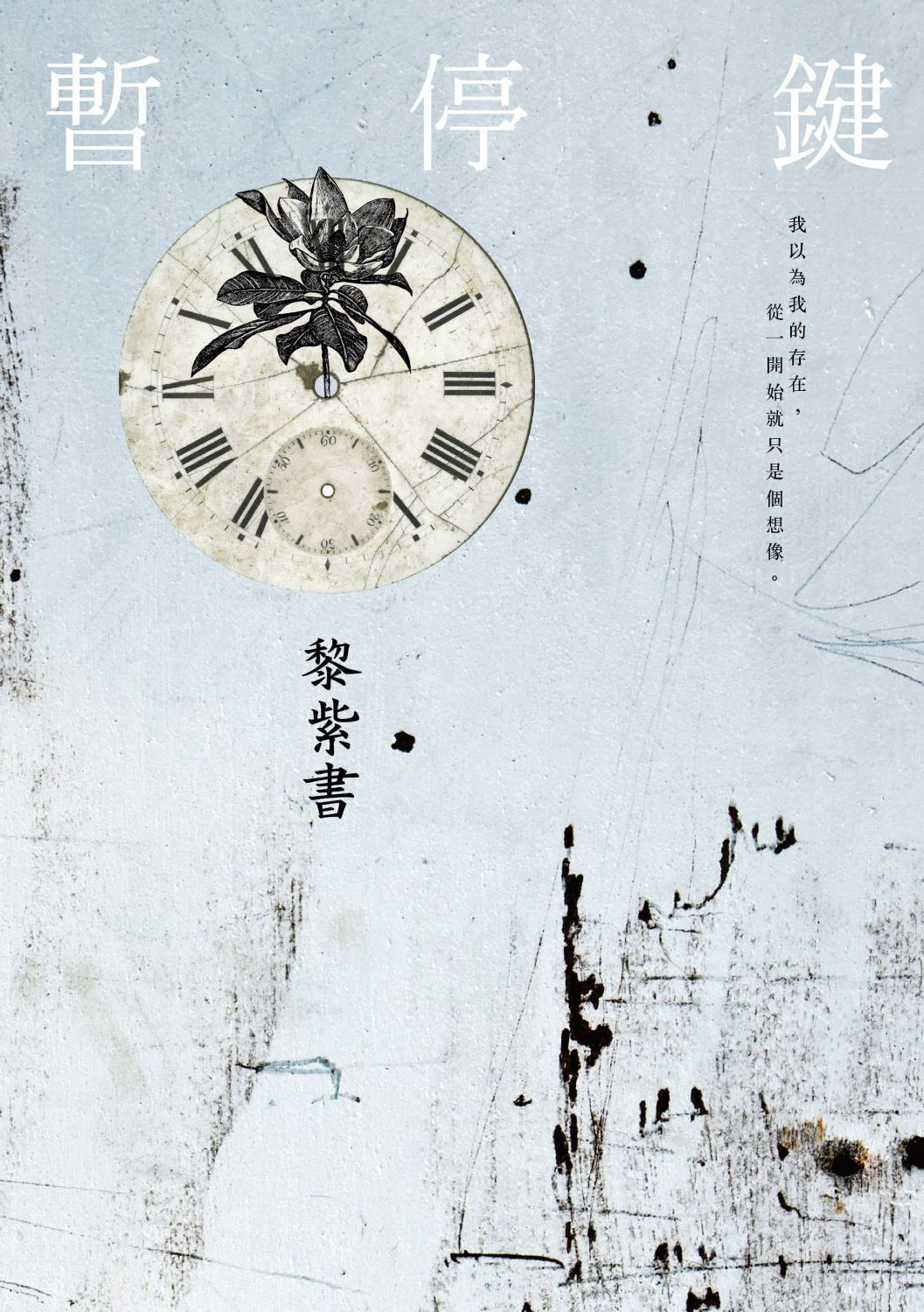 暫停鍵/黎紫書著