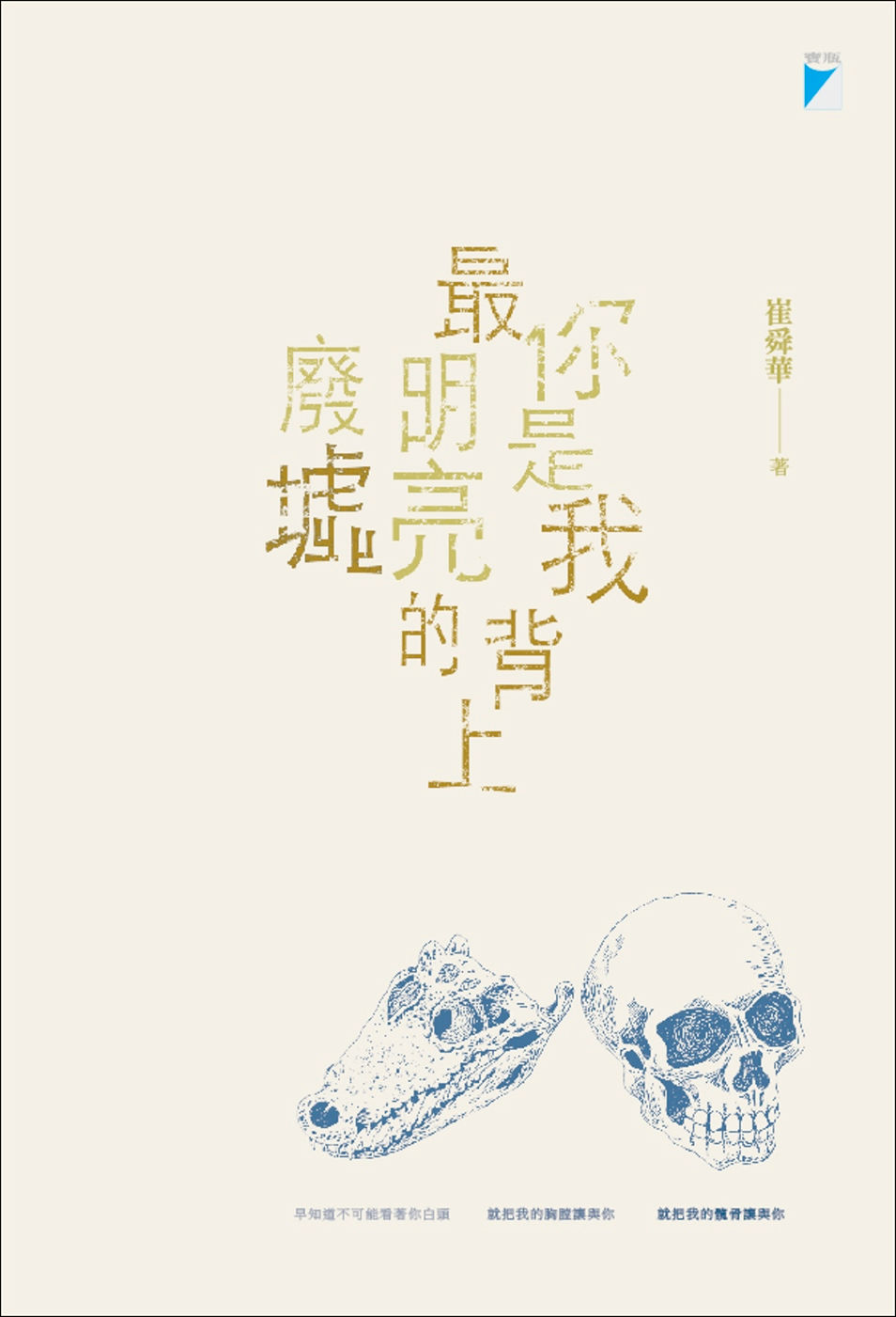 你是我背上最明亮的廢墟/崔舜華著