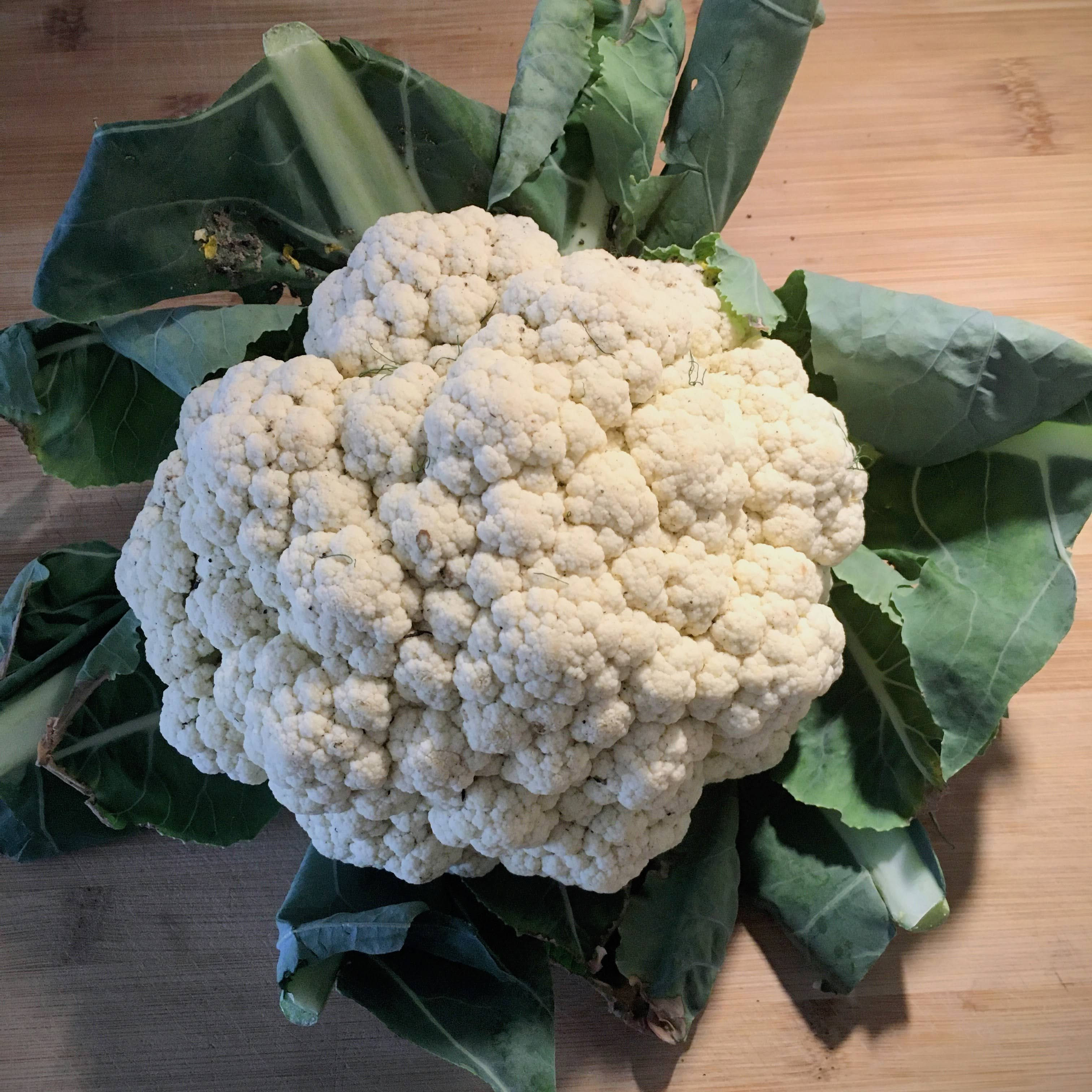 Chou fleur