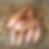 Miniature : Oignons