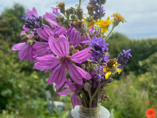 Wildflowers & pollinators