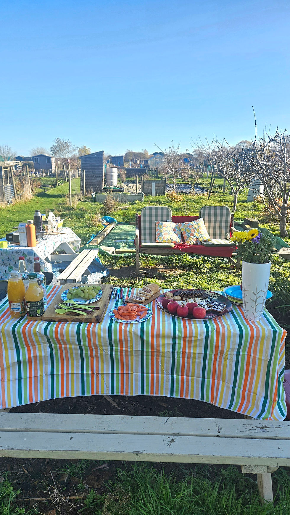 Volunteer Open Session