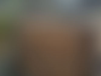 Compost Bins Construction