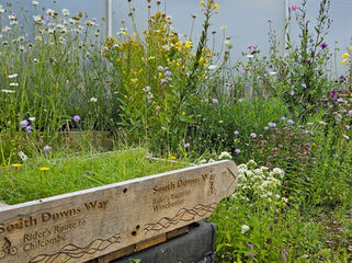Wildflower Conservation Society