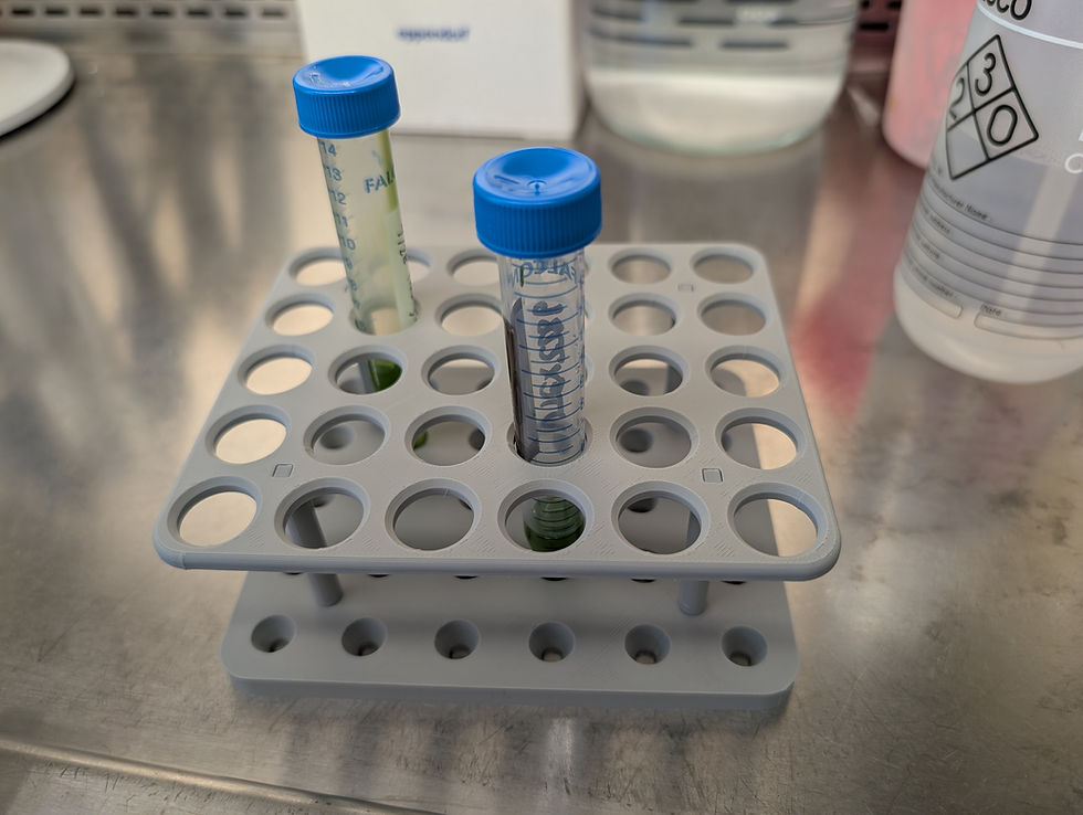 Küçük resim: 15 mL Falcon Tüp Standı (6x5)