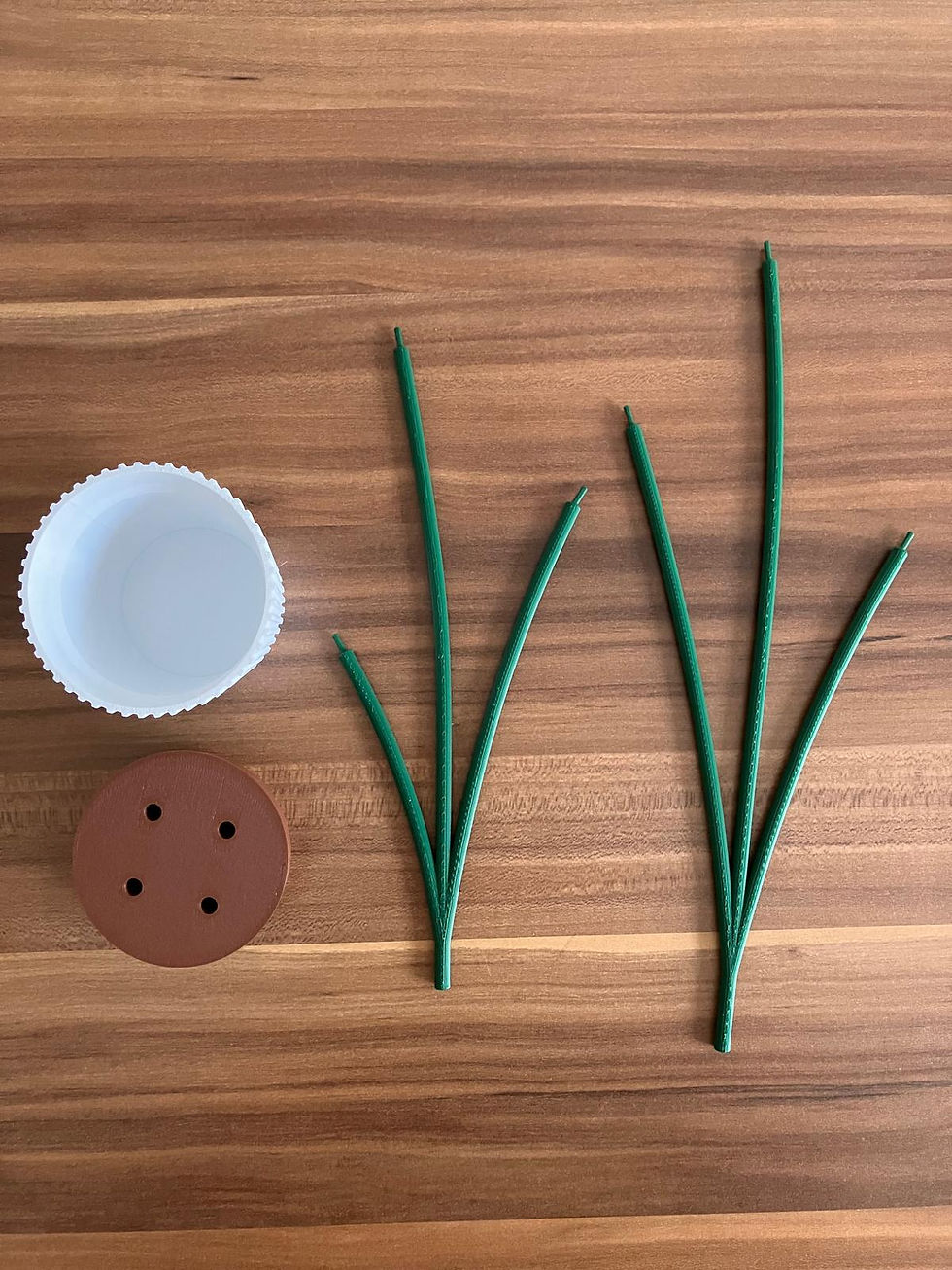 Küçük resim: Alocasia frydek Bardak Altlığı