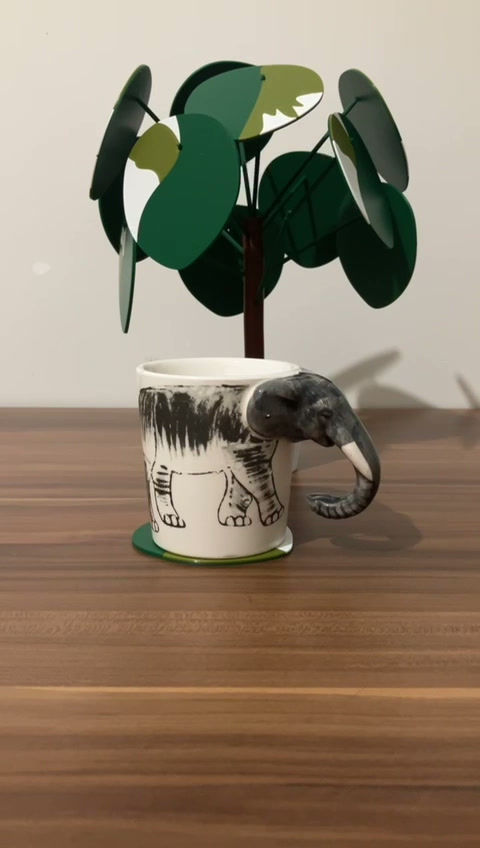 Küçük resim: Pilea peperomioides Bitkisi Bardak Altlığı (Çin Para Bitkisi)
