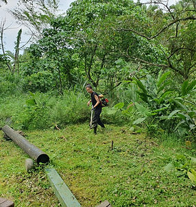 site revamp 2_edited_edited.jpg