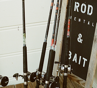 fish rods.png