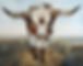 Ramblin' On 2 24x30 Small.jpg