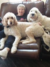 Kathy's First Blog Post
