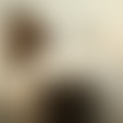 The Horse's Playground
