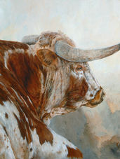 I LOVED this Young Longhorn Bull !!!!!