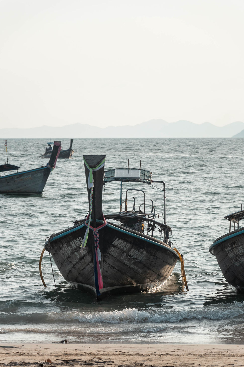 Asia-spring-2024_398.jpg