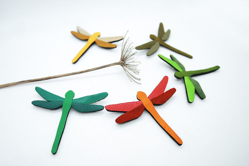 broche_libellule_fond_accueil_site.jpg