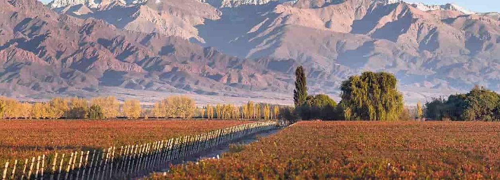 Valle de Uco.jpg