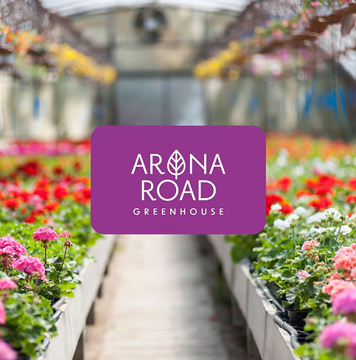 a greenhouse with red and pink geraniums and arona road greenhouse logo