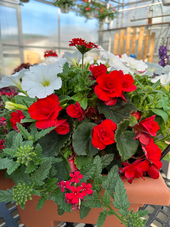 Planter with bright blooms and a combination of flowers
