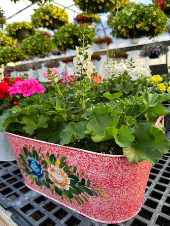 Planter with bright blooms and a combination of flowers