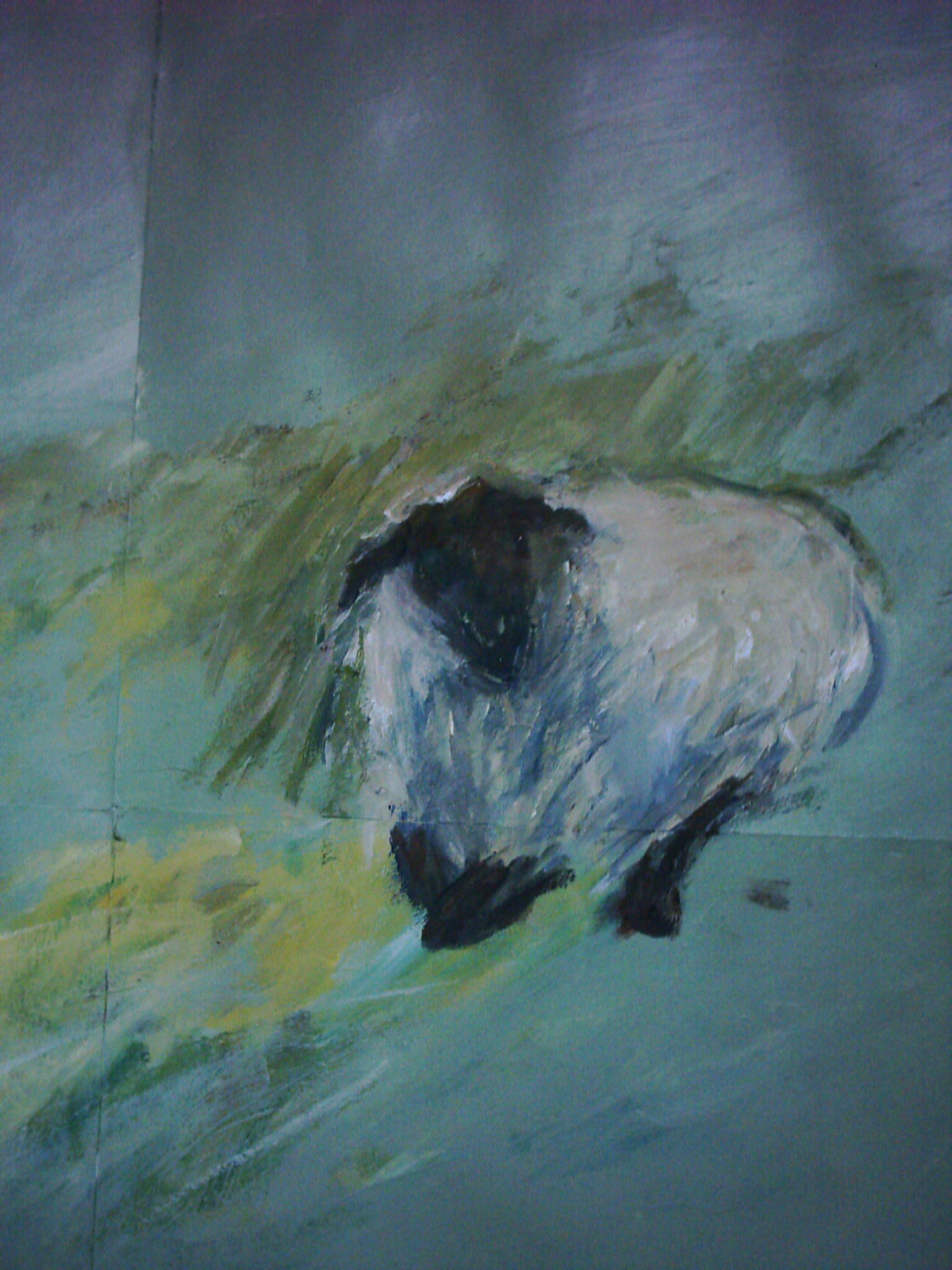 Commande pour WC (10)
