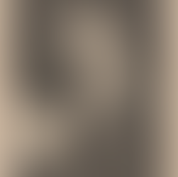 Mary Wollstonecraft: Shedding Light on Feminism during the Enlightenment