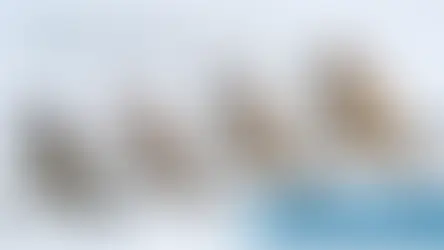 AI's Most Realistic Images Are Tricking Everyone. What Happens When Reality Can Be Rendered?