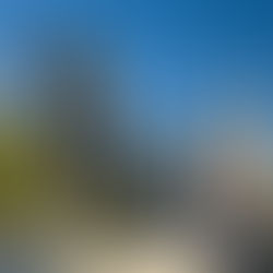 Check Off Your Bucket List: Disneyland Resort